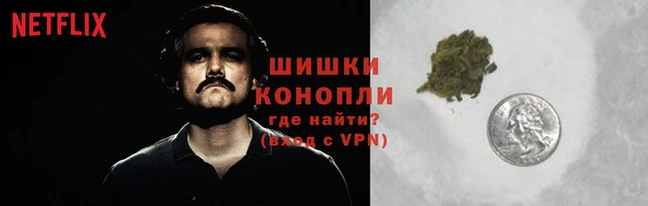 mdpv Вяземский