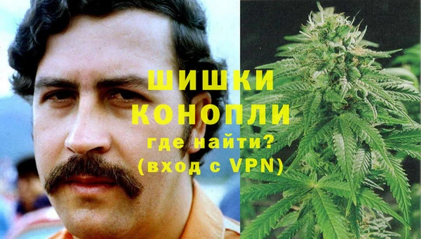mdpv Вяземский