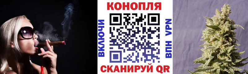Бошки Шишки THC 21%  Купить где  Кашин 